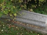 image of grave number 196010